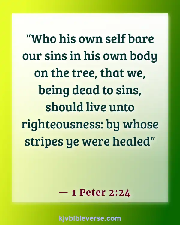 Bible Verses For An Anxious Heart (1 Peter 2:24)