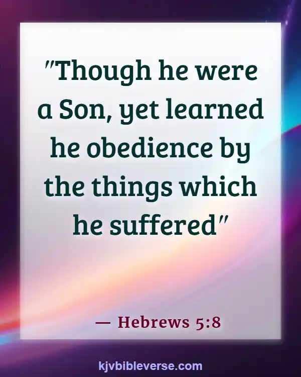 Bible Verses On Why God Allows Suffering (Hebrews 5:8)