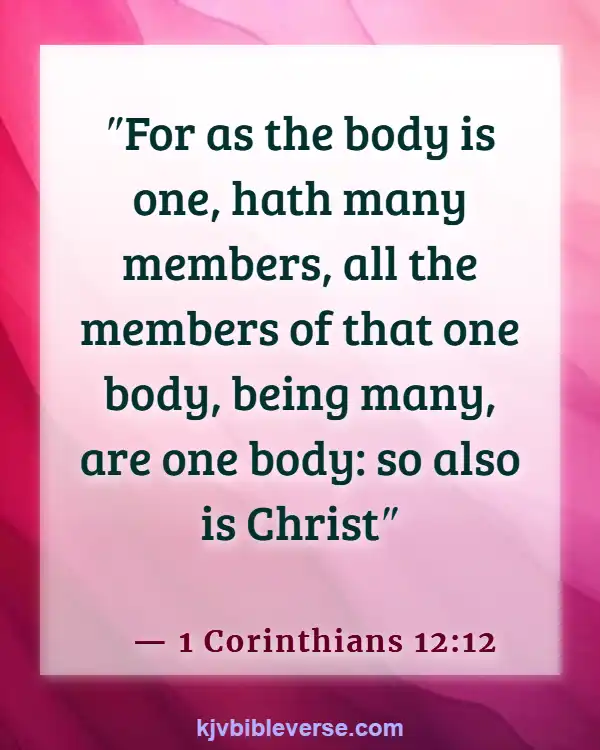 Bible Verses About Parts Of The Body Working Together (1 Corinthians 12:12)