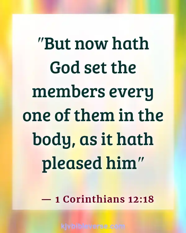 Bible Verses About Parts Of The Body Working Together (1 Corinthians 12:18)