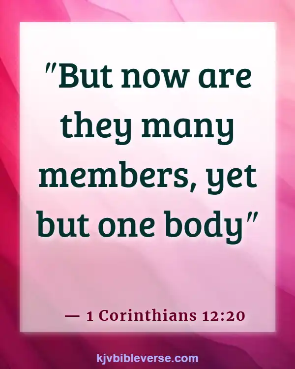 Bible Verses About Parts Of The Body Working Together (1 Corinthians 12:20)