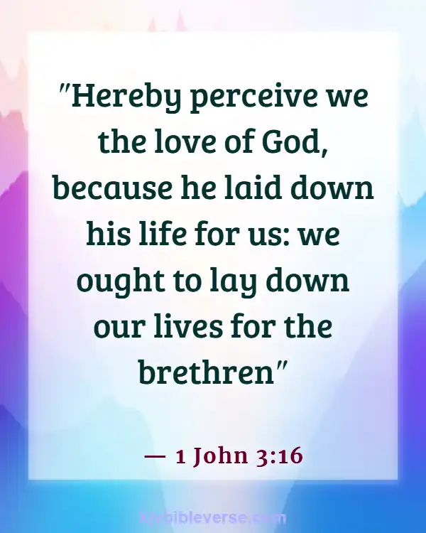 Bible Verses About Sharing Your Blessings To Others (1 John 3:16)