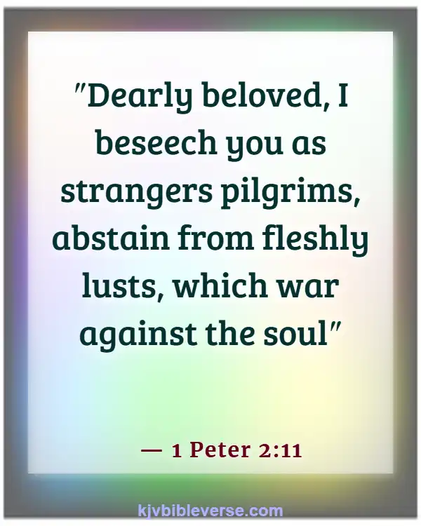 Bible Verse The World Is Not Our Home (1 Peter 2:11)