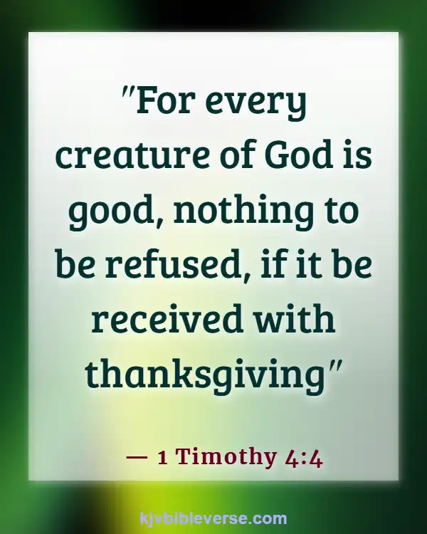 Bible Verses About Food Blessings (1 Timothy 4:4)
