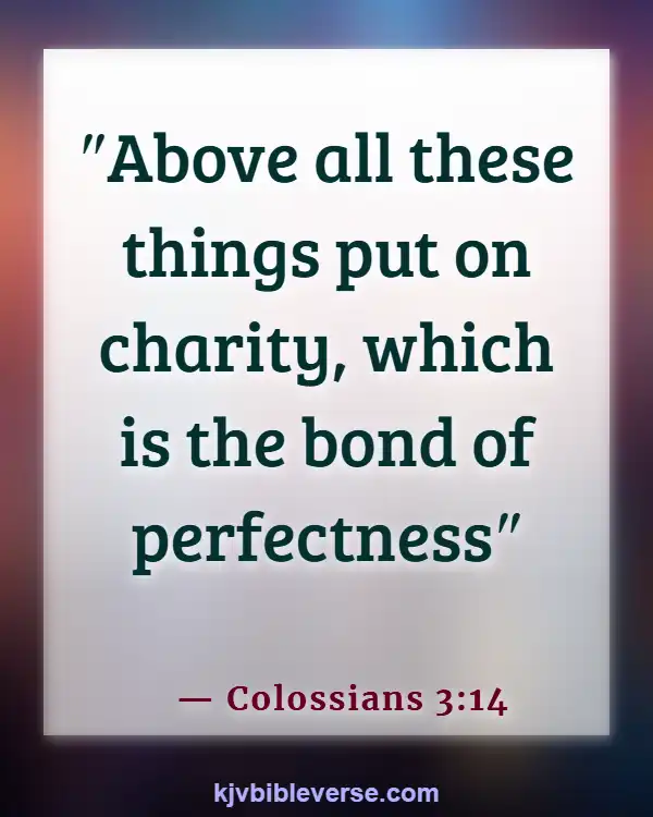Bible Verses About Parts Of The Body Working Together (Colossians 3:14)