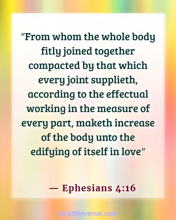 Bible Verses About Parts Of The Body Working Together (Ephesians 4:16)