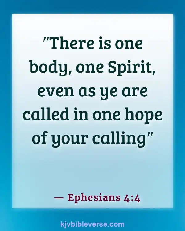 Bible Verses About Parts Of The Body Working Together (Ephesians 4:4)