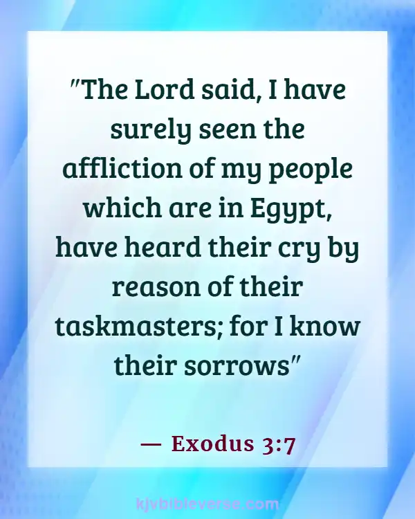 Bible Verses About God Catching Our Tears (Exodus 3:7)