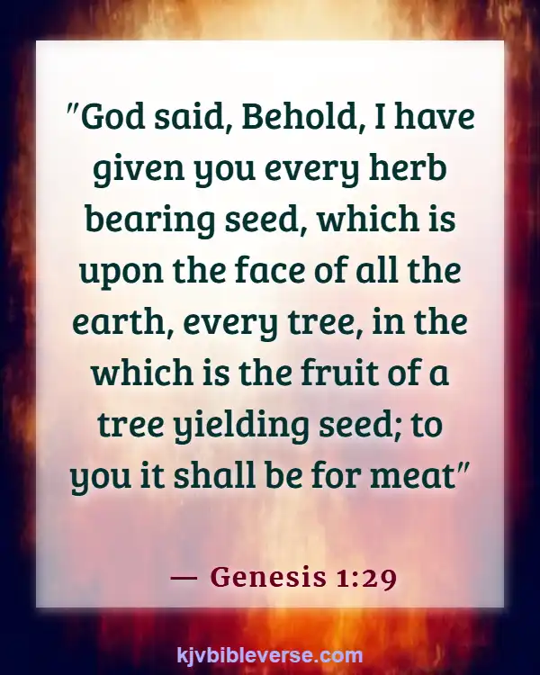 Bible Verses About Food Blessings (Genesis 1:29)