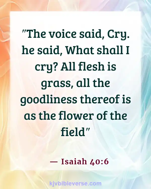 Bible Verses About Time Passing Quickly (Isaiah 40:6)