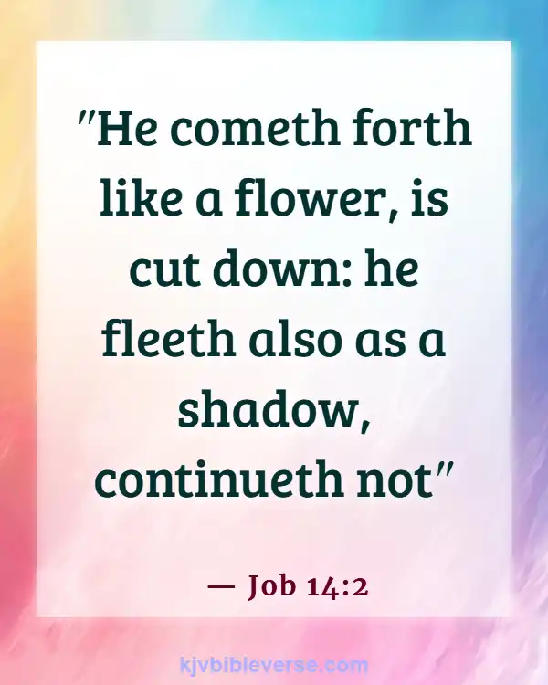 Bible Verses About Time Passing Quickly (Job 14:2)