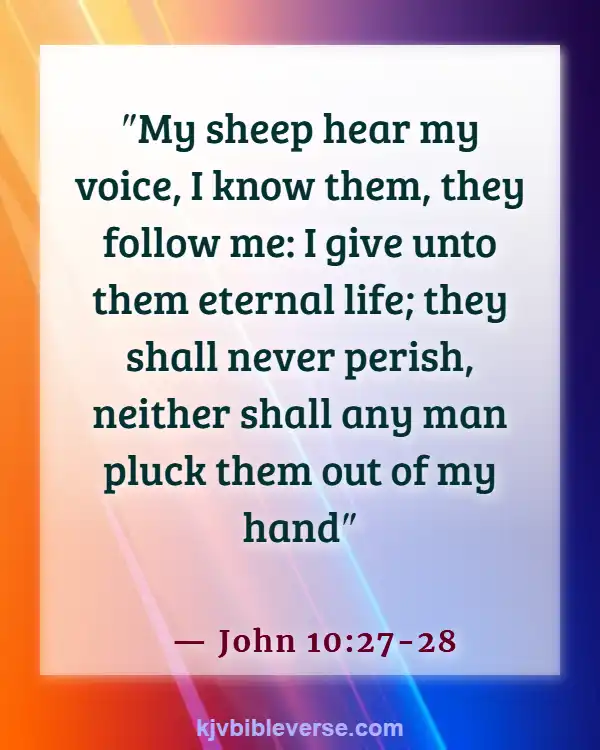 Bible Verses About Finding Peace In Death (John 10:27-28)