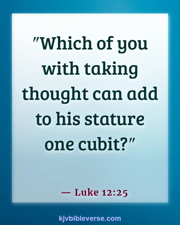 Bible Verses About Time Passing Quickly (Luke 12:25)