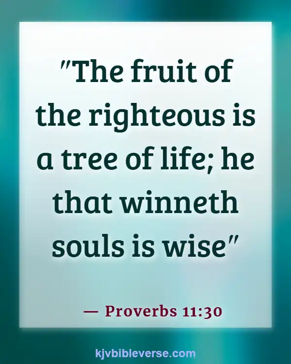 Bible Verse About Saving Lost Souls (Proverbs 11:30)