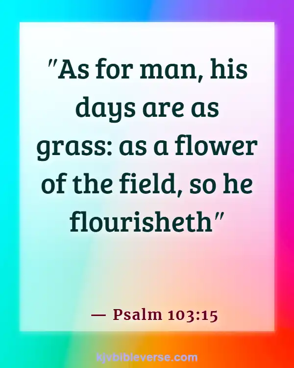Bible Verses About Time Passing Quickly (Psalm 103:15)